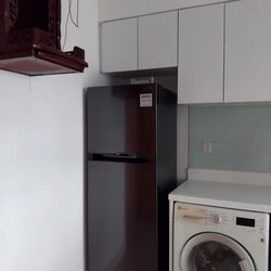 Eight Riversuites (D12), Condominium #581874251